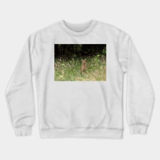 Baby deer in the woods Crewneck Sweatshirt